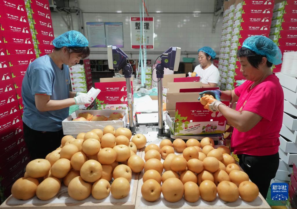 金沙国际网址